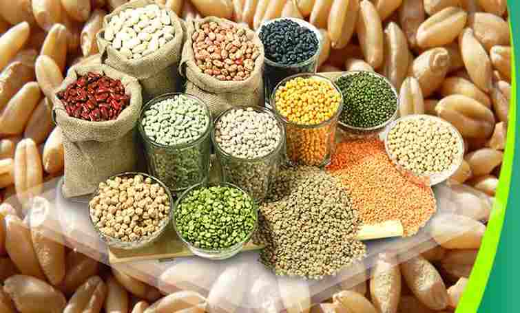 Agri Commodity: मंडियों में तुअर की कीमतें MSP से नीचे,  ग्वार और जीरे में भी दिख रहा लगातार दबाव