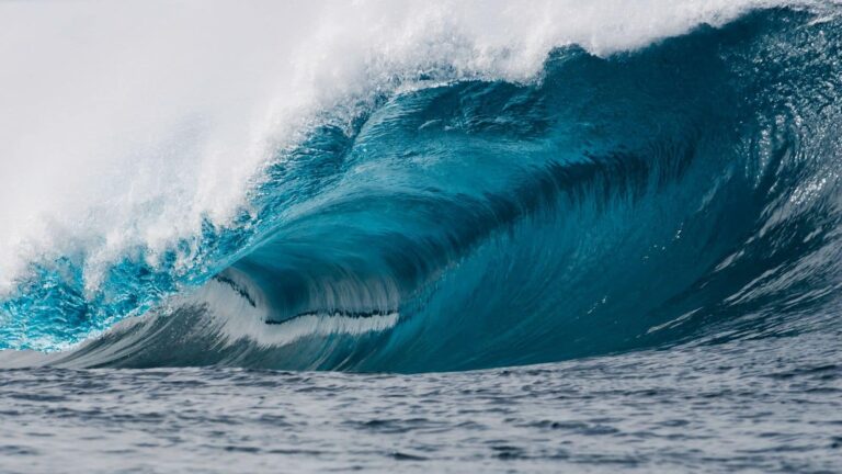 दो हफ्ते बाद दुनिया के इस हिस्से में मचेगी भीषण तबाही! बाबा वेंगा की डरावनी भविष्यवाणी, कैंसिल होने लगी बुकिंग