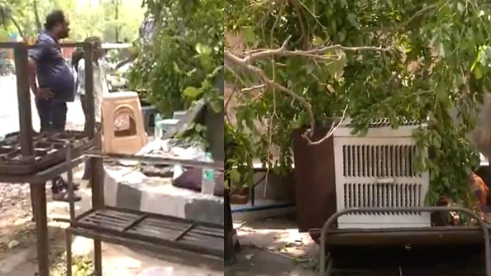 दिल्‍ली में मौसम का कहर...आंधी-तूफान में धराशायी हुआ पेड़, करंट लगने से दो युवकों की मौत