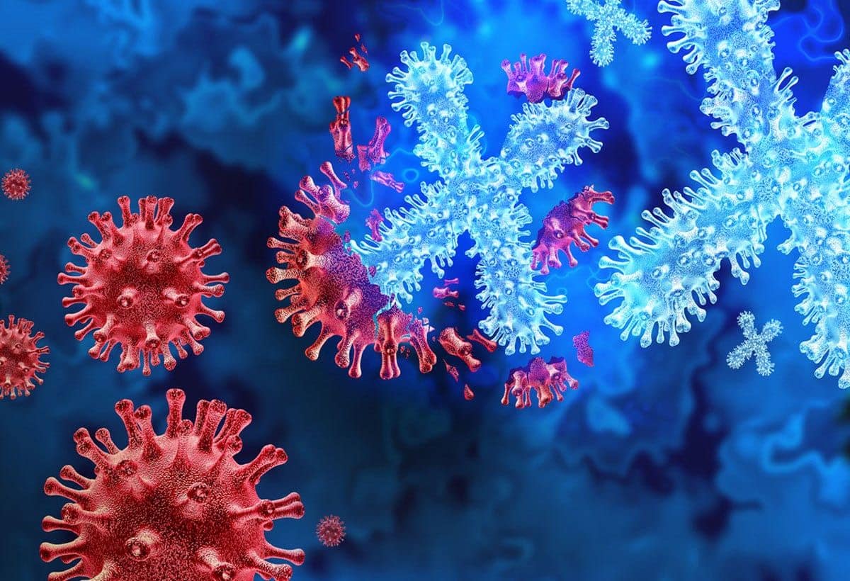 Next Pandemic: फिर आ रही है नई महामारी! इंसानों में फैलने से एक-कदम दूर...दुनिया भर के हेल्थ एक्सपर्ट ने दी चेतावनी