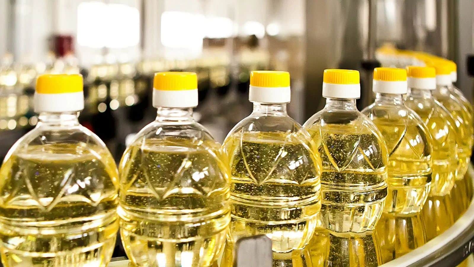 Edible Oils: सरकार ने घटाया खाद्य तेलों पर इंपोर्ट ड्यूटी, आम लोगों को मिलेगी महंगाई से राहत!
