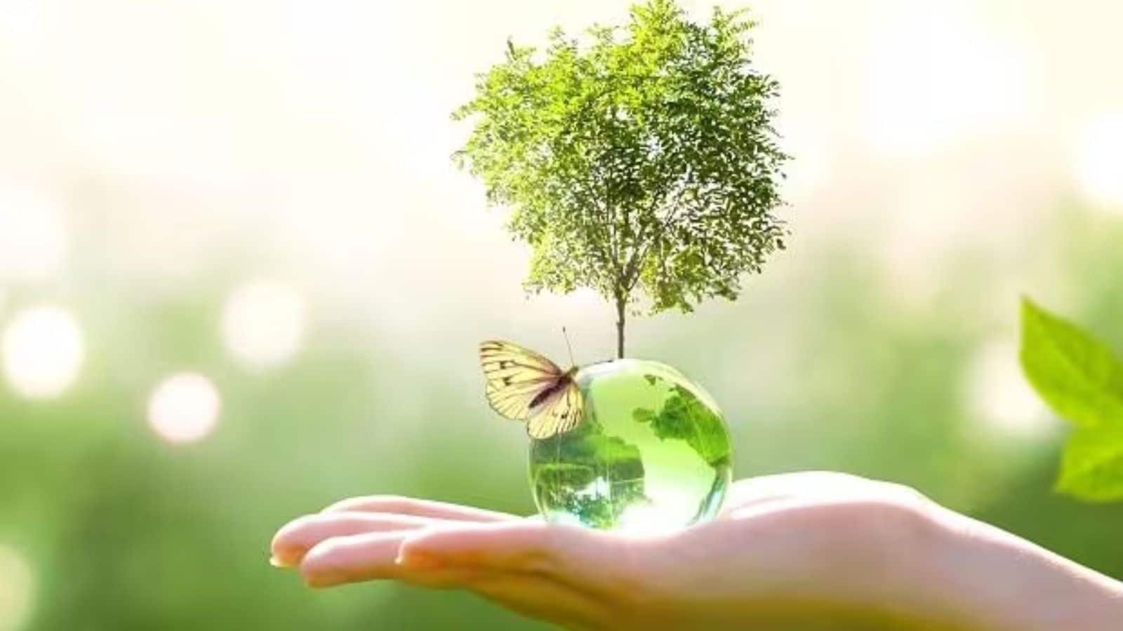 World Environment Day 2025: हर साल 5 जून को ही क्यों मनाया जाता है विश्व पर्यावरण दिवस? जानें इतिहास और महत्व समेत सबकुछ