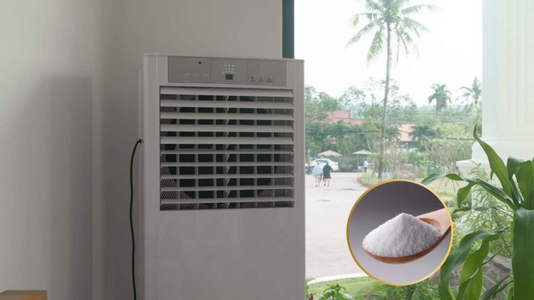 Cooler hack: कूलर देगा एसी जैसी ठंडक, बस अपनाएं ये दो घरेलू हैक्स और देखें कमाल