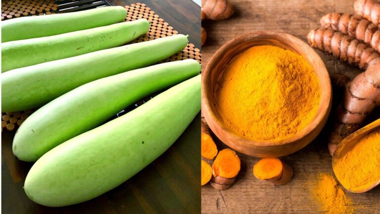 Kidney: किडनी को रखना हेल्दी तो आज ही अपने डाइट में शामिल करें ये चीजें, फिर देखें फर्क