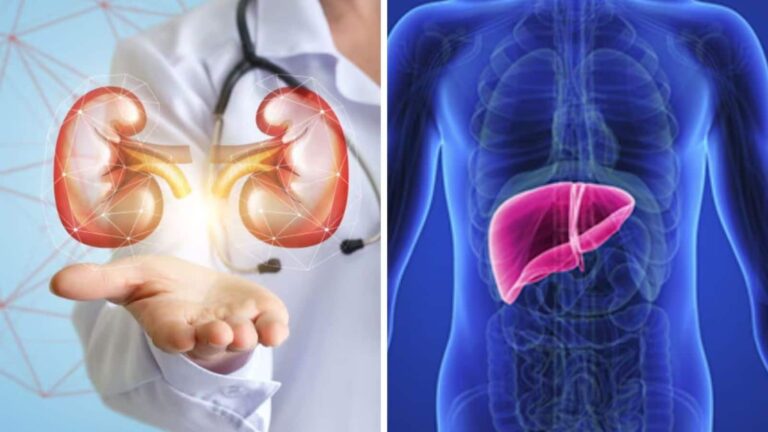 Liver:अपने लिवर और किडनी को बनाए रखना चाहते हैं हेल्दी? रोज खाएं शरीर से टॉक्सिक तत्वों को निकालने वाले ये 8 फल