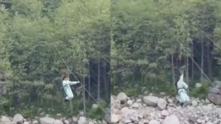 मनाली में जिप लाइन टूटने से 30 फीट गहरी खाई में गिरी 12 साल की बच्ची, दिल दहला देगा वीडियो!