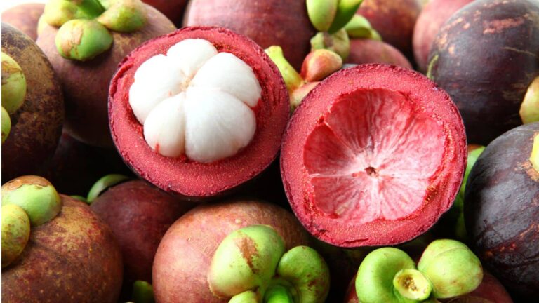 फलों का राजा तो हर कोई जानता है, लेकिन रानी का नाम सुनकर रह जाएंगे हैरान!