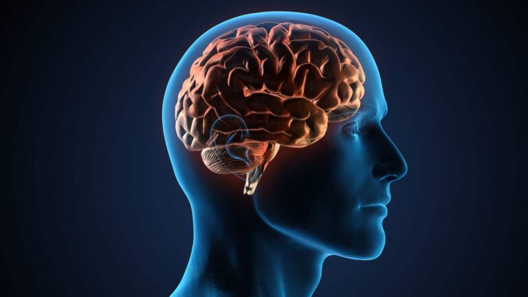 दिमाग पर जंग लगने से पहले आजमाएं ये देसी नुस्खे, कंप्यूटर से भी तेज होगी याददाश्त!