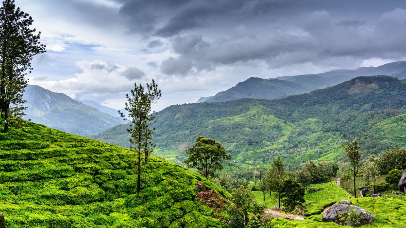 मानसून के मौसम में स्वर्ग सी दिखती हैं भारत की ये जगहें, आज ही बनाएं यहां घूमने का प्लान