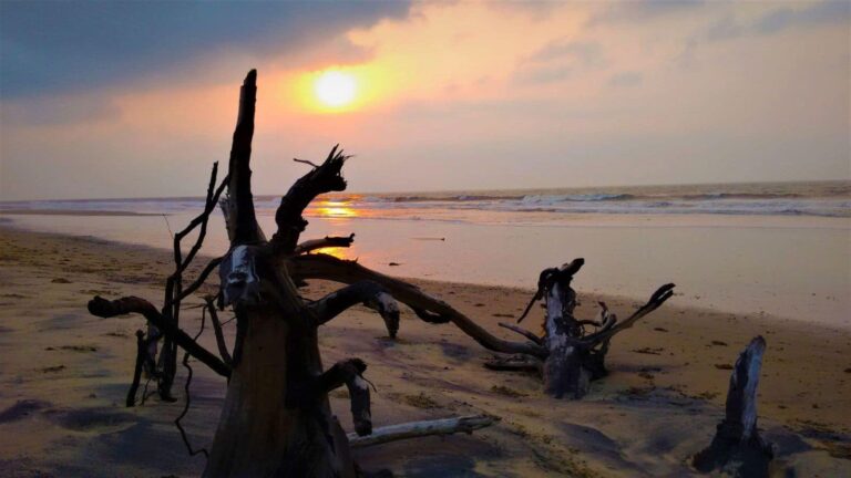 बीच पर लवर के साथ बैठी थी लड़की, 10 लोगों ने किया रेप! ओडिशा के भुवनेश्वर से सामने आई खौफनाक वारदात