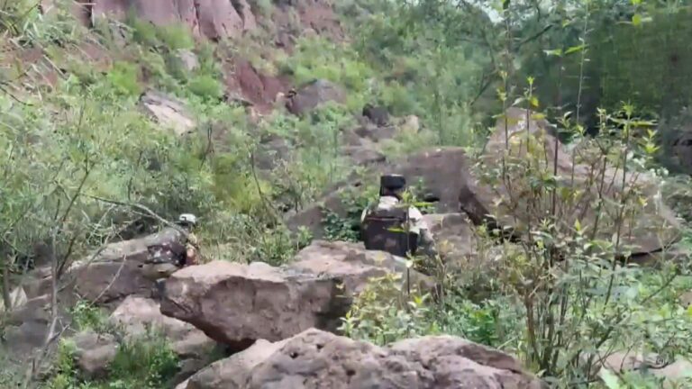 Operation Bihali: जम्मू-कश्मीर के बसंतगढ़ में चल रही मुठभेड़ में एक आतंकवादी ढेर