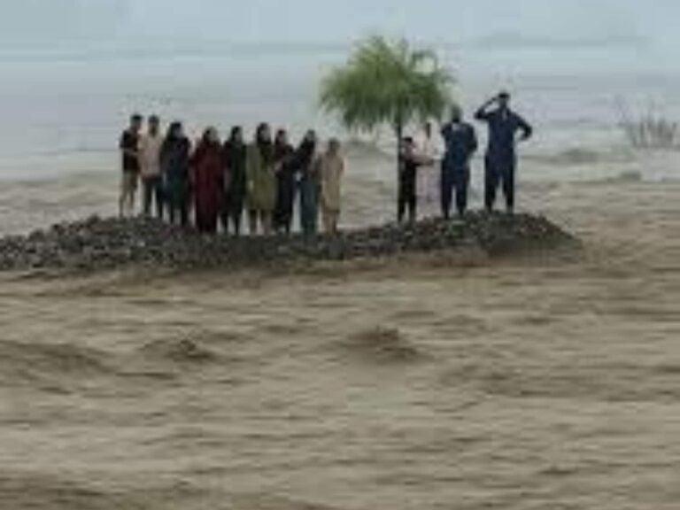 VIDEO: 'दो घंटे तक मदद मांगता रहा पूरा परिवार...' पाकिस्तान में पिकनिक मना रहे 9 लोगों की गई जान