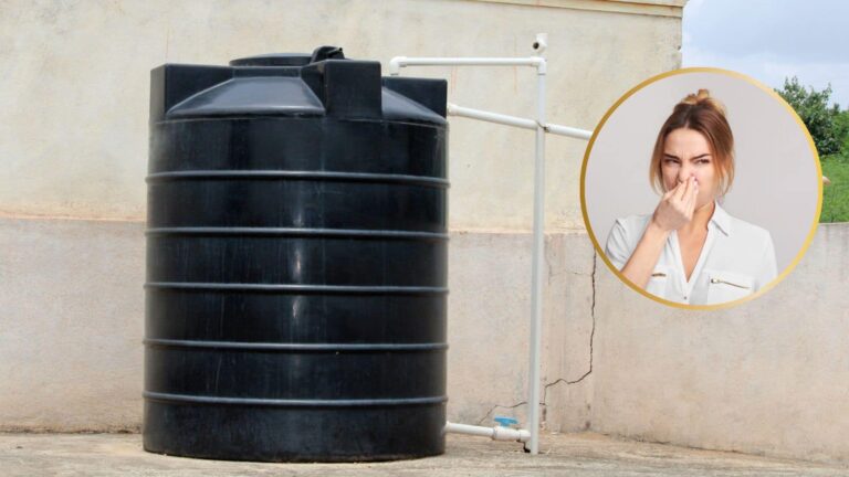 बरसात में टंकी से मछली जैसी बदबू! अब नहीं सताएगी ये परेशानी, अपनाएं ये गजब उपाय