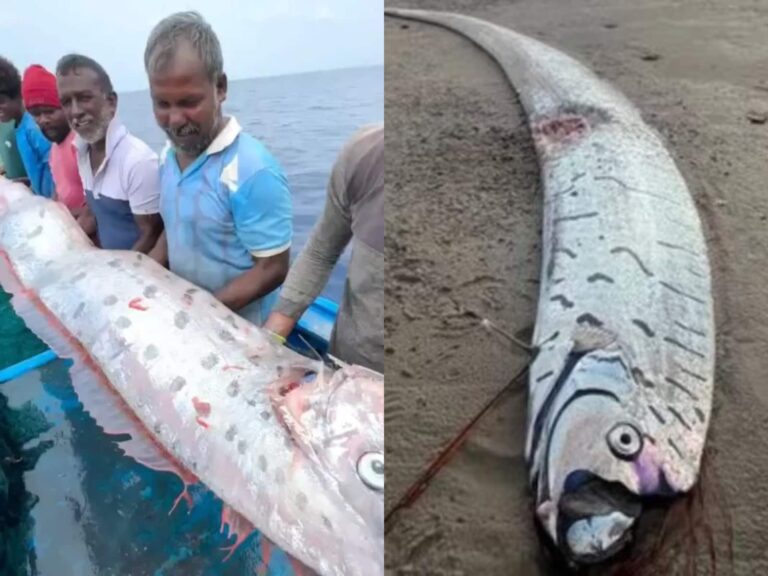 धरती पर जल्द आने वाली है प्रलय...ऑस्ट्रेलिया के बाद अब भारत में दिखी ये महातबाही की निशानी!
