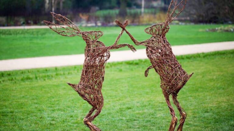 हाथी, बाघ और मगरमच्छ...नोएडा में जल्द ही खुलेगा ये अनोखा पार्क, जंगल के साथ नाइट सफारी का भी मिलेगा मजा