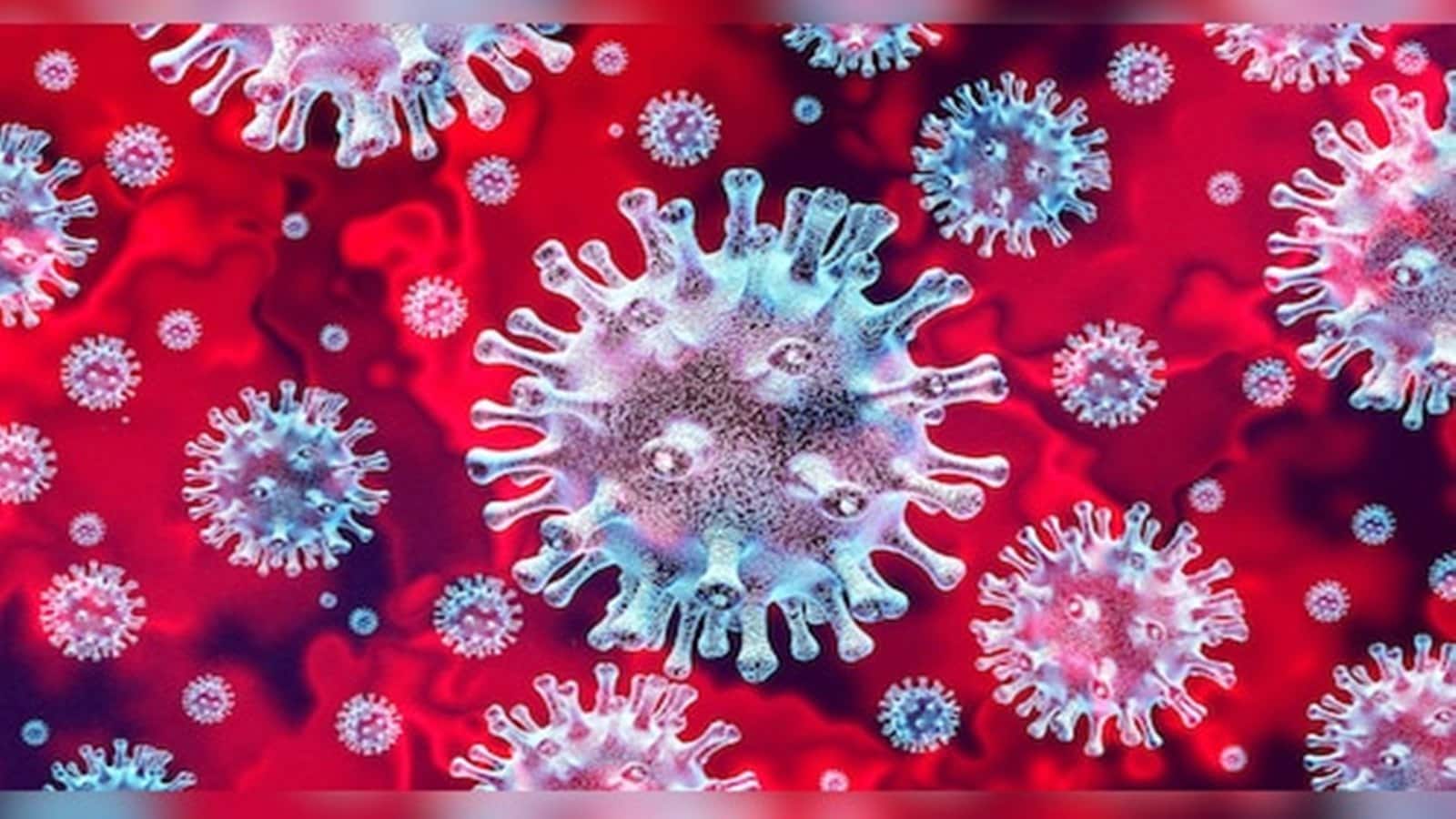 भारत में तेजी से फैल रहा कोरोना का नया वेरिएंट XFG कितना है खतरनाक? लक्षण से लेकर बचाव तक जानें यहां