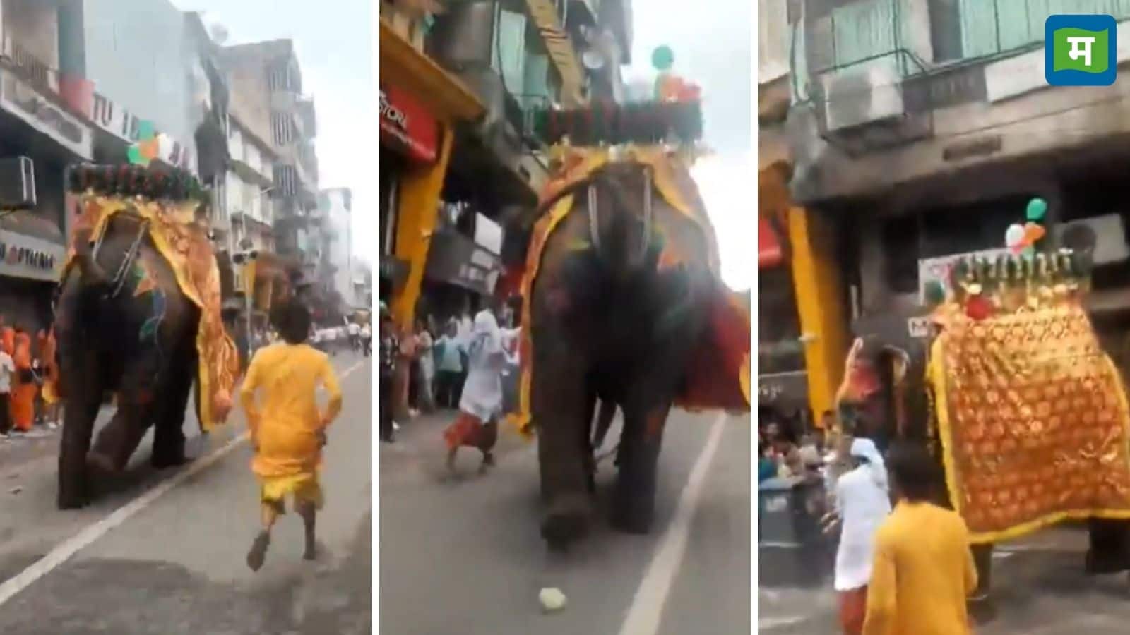 Ahmedabad Rath yatra 2025: अहमदाबाद जगन्नाथ रथयात्रा में बेकाबू हुआ हाथी, जान बचाकर इधर-उधर भागते दिखे लोग, देखें वीडियो