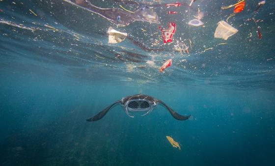 महासागरों की 'लूटपाट बन्द' करने के आहवान के साथ, फ़्राँस में यूएन शिखर सम्मेलन शुरू