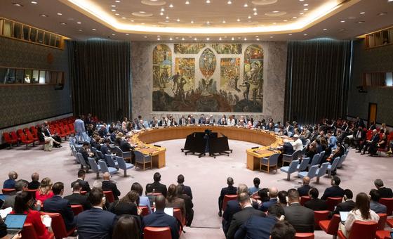 ईरान: अमेरिकी सैन्य हस्तक्षेप के बाद सुरक्षा परिषद की बैठक, कूटनैतिक समाधान पर बल