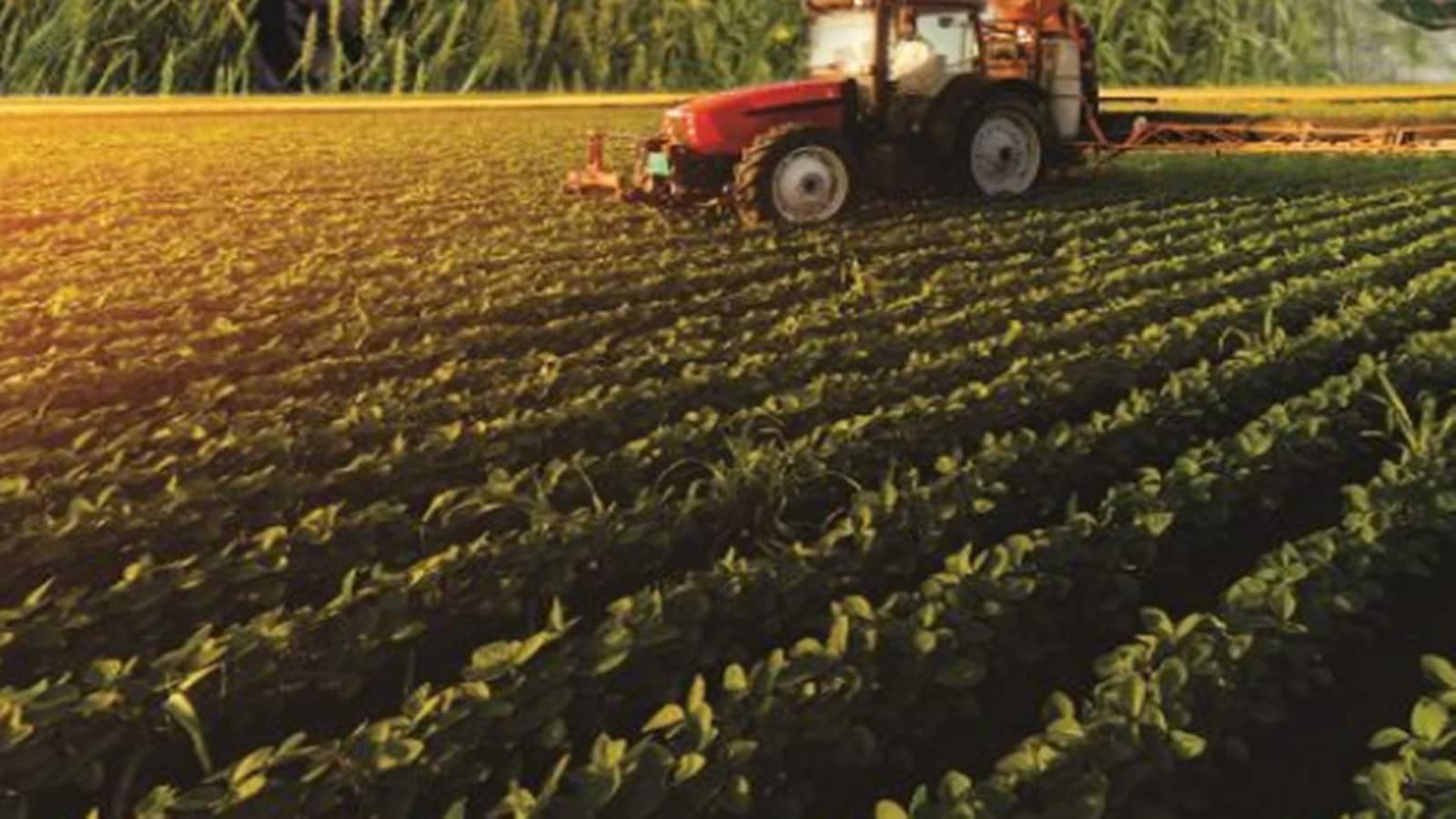 Indogulf Cropsciences IPO: ₹200 करोड़ के आईपीओ में पैसे लगाएं? ग्रे मार्केट और एक्सपर्ट से मिले ये संकेत