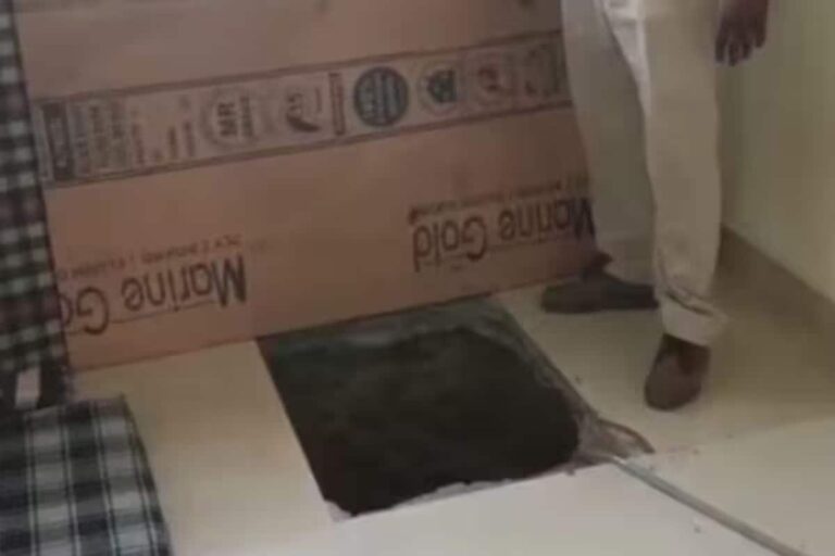 VIDEO: घर में खोदी सुरंग और अचानक कमाने लगा लाखों, सिर चकरा देगी चोरी की ये कहानी