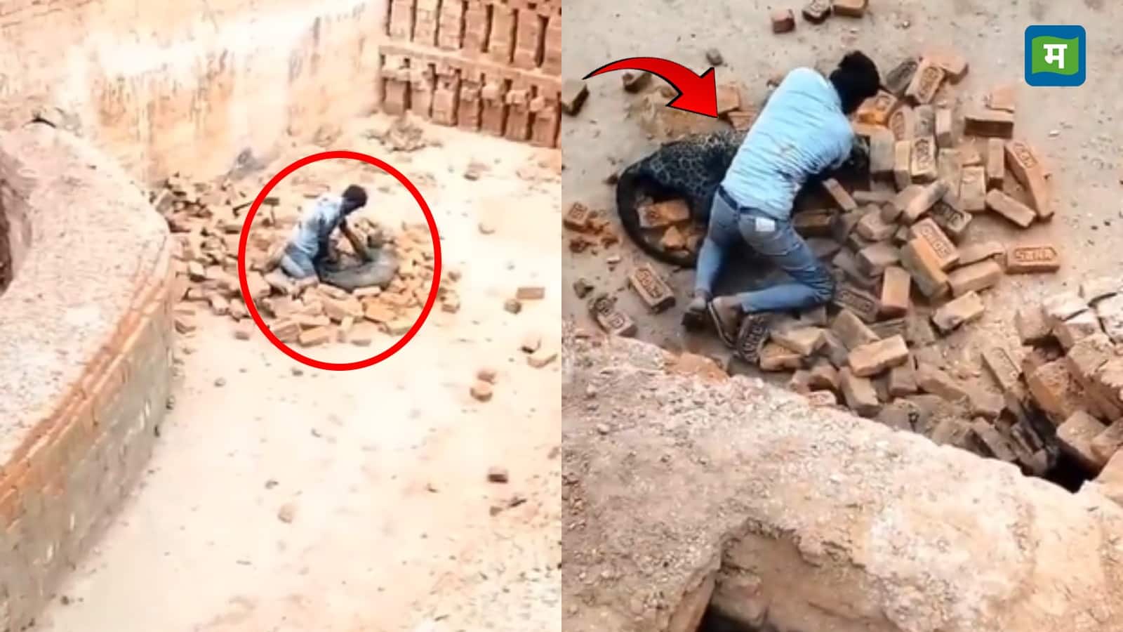 VIDEO: जब मौत से भिड़ गया शख्स, तेंदुए ने अचानक किया हमला फिर युवक ने ऐसे बचाई अपनी जान