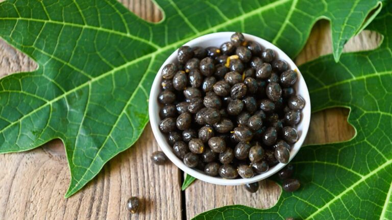 Papaya Seeds: बस चुटकीभर बीज और डायबिटीज रहेगी दूर, जानिए इसके चमत्कारी फायदे