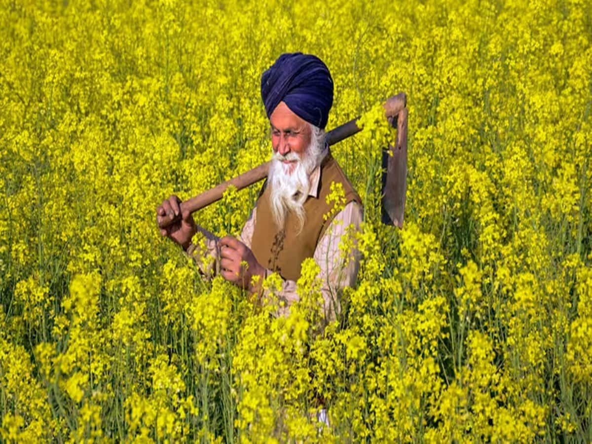 PM Kisan: जून में कब आएगी पीएम किसान योजना की 20वीं किश्त? यहां जानें अपडेट