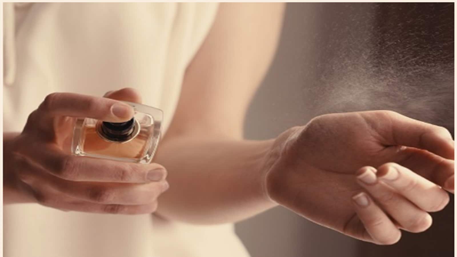 Sacheerome IPO: 16 जून को लिस्टिंग पर मुनाफा होगा या घाटा? क्या संकेत दे रहा ग्रे मार्केट