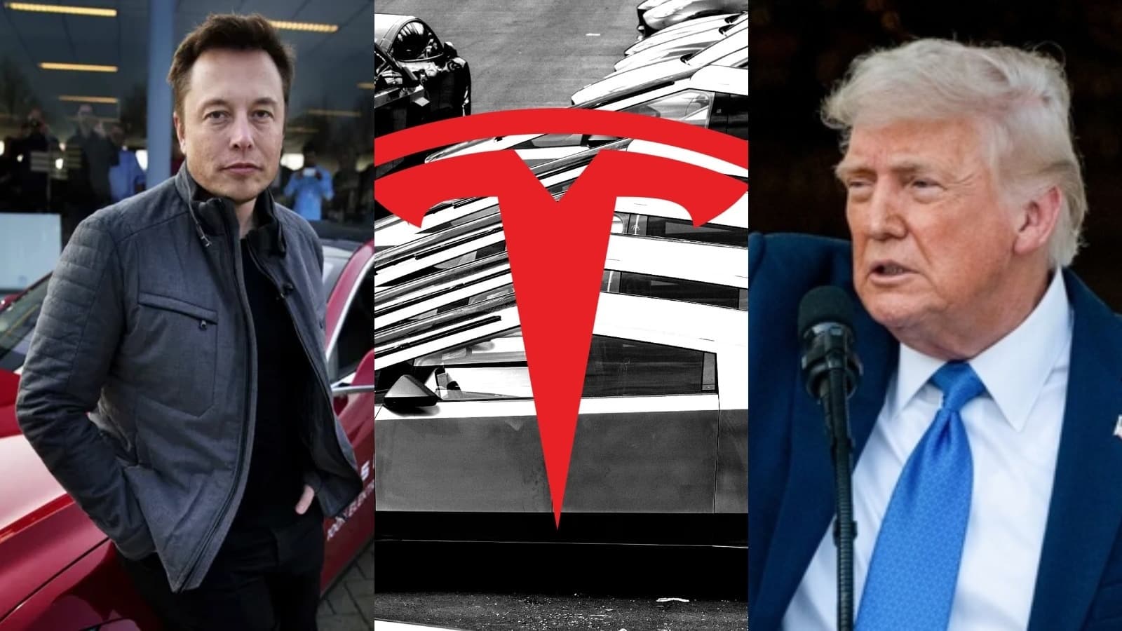 Trump vs Musk: ट्रंप और मस्क की भिड़ंत में पिस गए टेस्ला के निवेशक, 10% टूट गए शेयर, क्या है पूरा मामला?