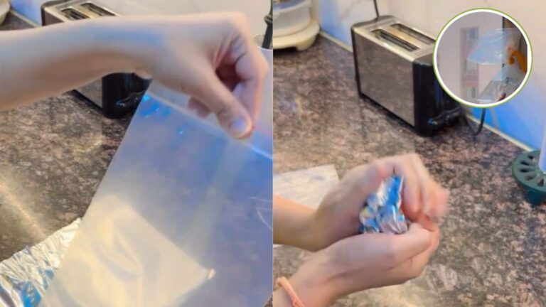 Viral Video: देसी जुगाड़ से मच्छर-मक्खी हुए फरार, इस थैली का राज जानकर रह जाएंगे दंग