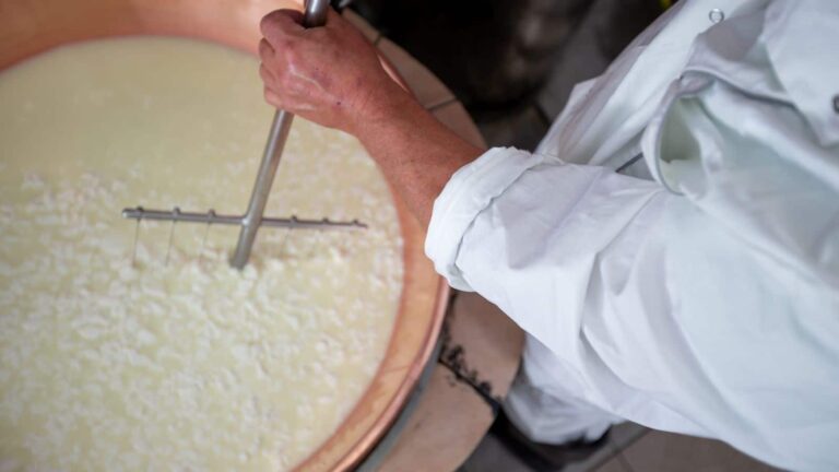 Curd adulteration: क्या आप भी रोज खा रहे हैं नकली दही? FSSAI की गाइड से करें पहचान