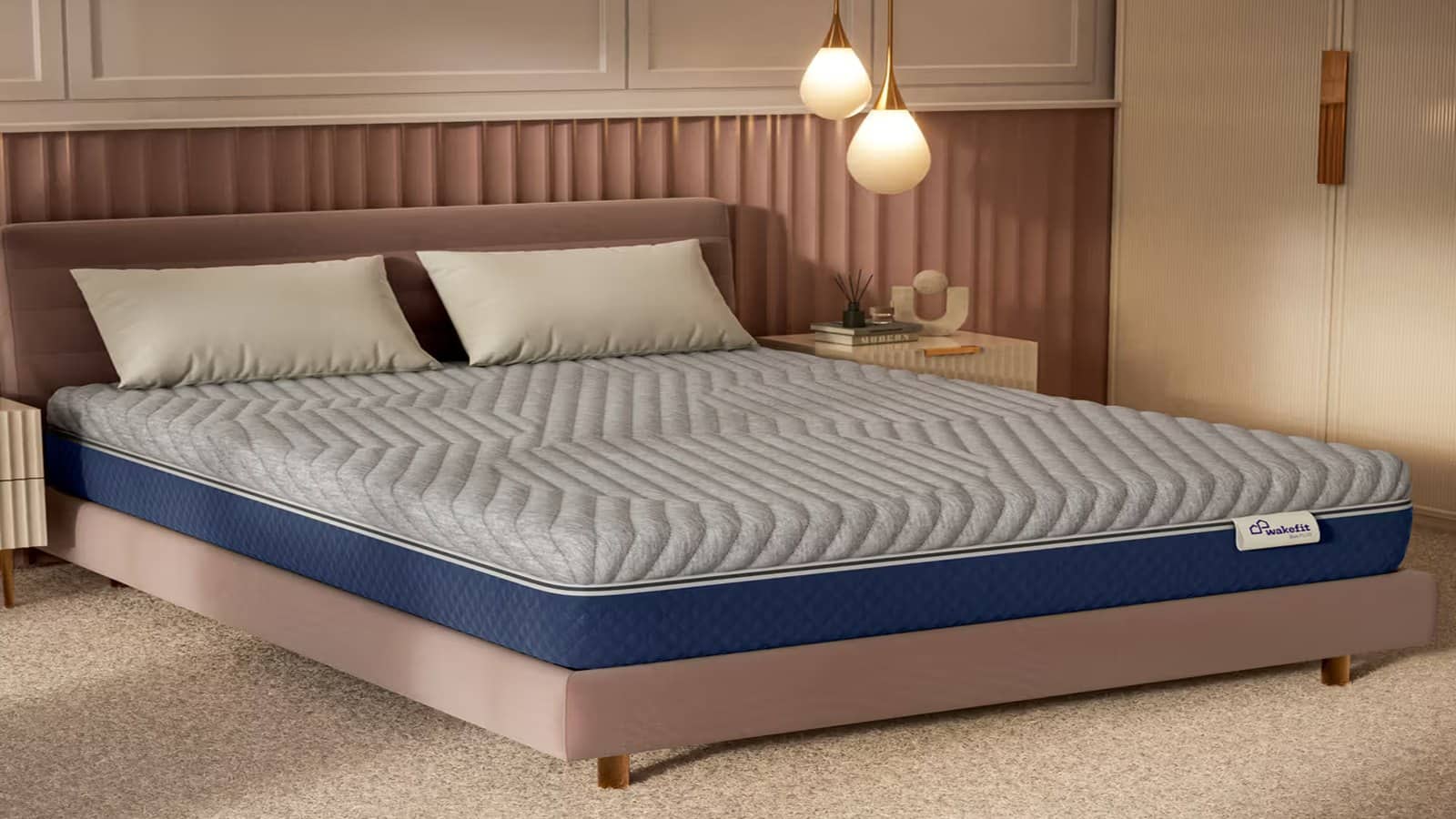 Wakefit IPO: मैट्रेस कंपनी का ड्राफ्ट जमा, रहेंगे ₹468 करोड़ के नए शेयर, OFS में कौन-कौन करेगा बिक्री