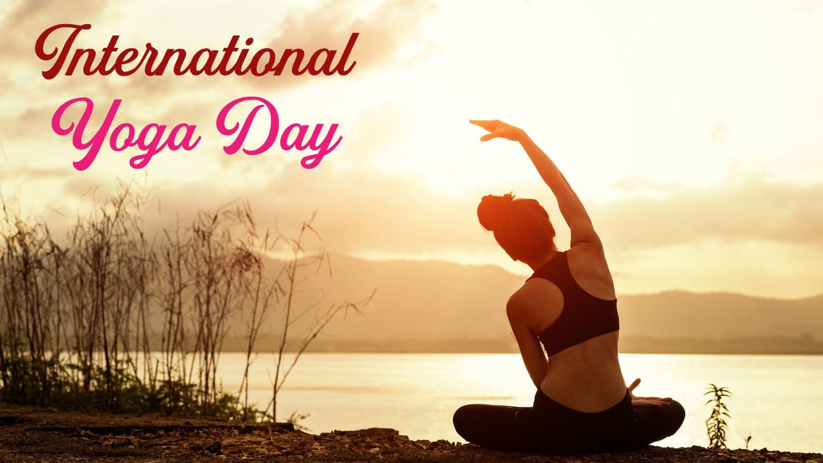 International Yoga Day Wishes 2025: अपनों को दें हेल्दी लाइफस्टाइल का संदेश, शेयर करें ये 50 सुंदर योग मैसेज