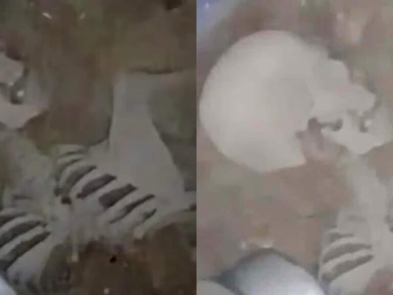 10 साल से बंद पड़े मकान में बॉल ढूंढ रहा था लड़का, अंदर मिला कंकाल… बंद फोन में पड़े थे 80 मिस्ड कॉल्स