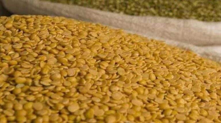 इस साल दाल की कीमतों में नहीं आएगी तेजी, अच्छी पैदावार से अरहर के भाव काबू में