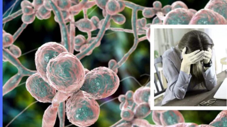 Aspergillus: ऐसा फंगस जो इंसानों को अंदर से खा कर बना देता है खोखला! महामारी का है खतरा