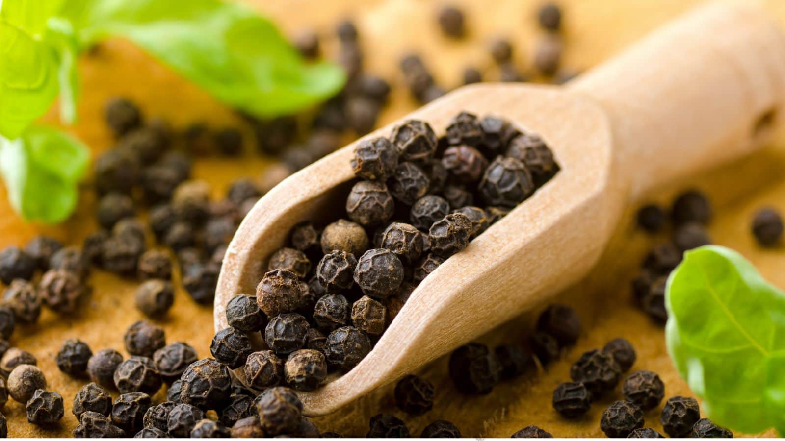 Black Pepper: डायबिटीज और मोटापा दोनों का दुश्मन है ये छोटा काला बीज, जानिए इसके चमत्कारी फायदे!