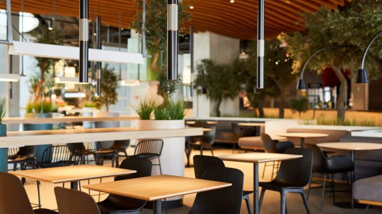 कैंडल लाइट डिनर से भी शानदार है कुत्तों-बिल्लियों संग डेट! कमाल का है ये अनोखा Pet Cafe