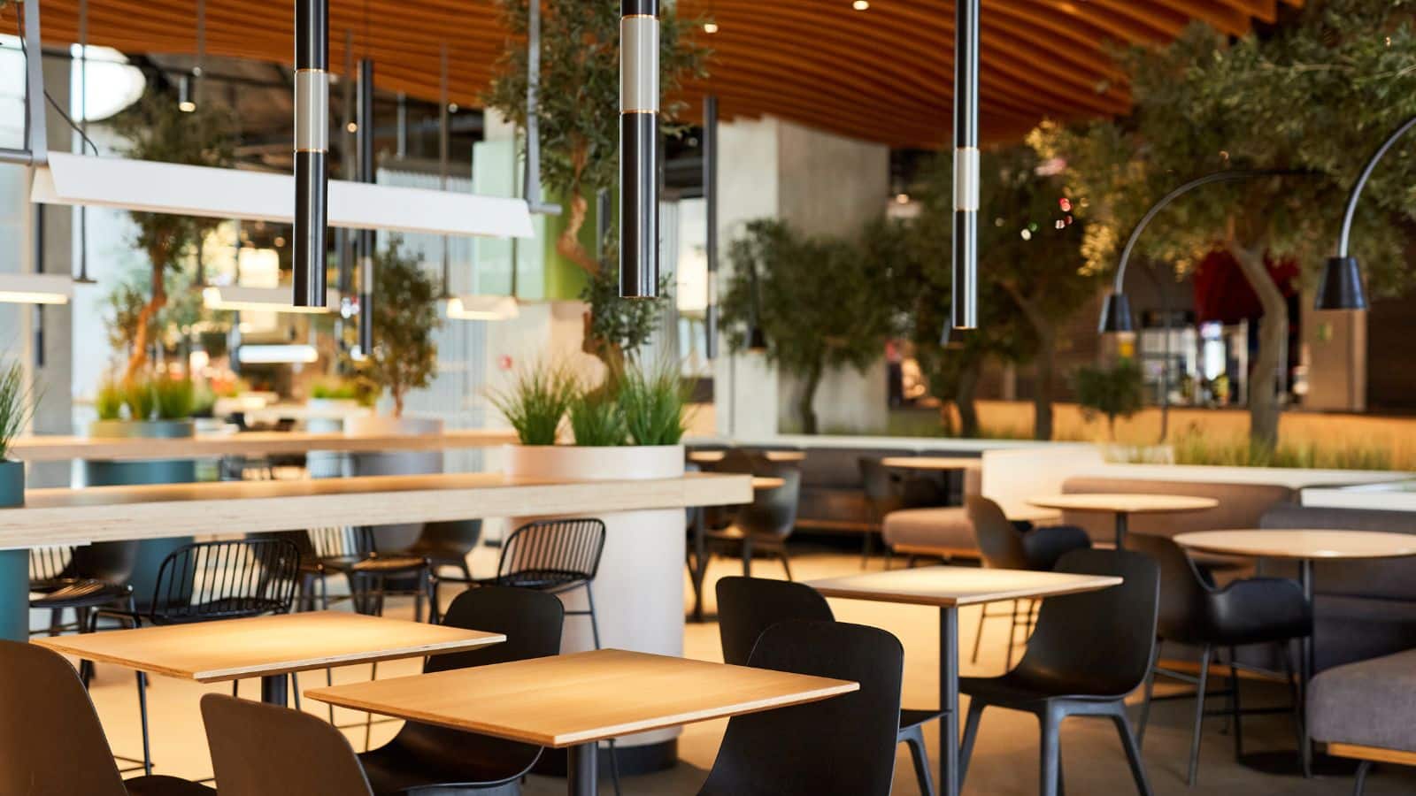 कैंडल लाइट डिनर से भी शानदार है कुत्तों-बिल्लियों संग डेट! कमाल का है ये अनोखा Pet Cafe