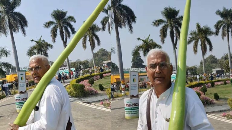 Viral Video: 8 फीट की लौकी का वायरल वीडियो! ताऊ की बात सुनकर हंसी नहीं रुकेगी