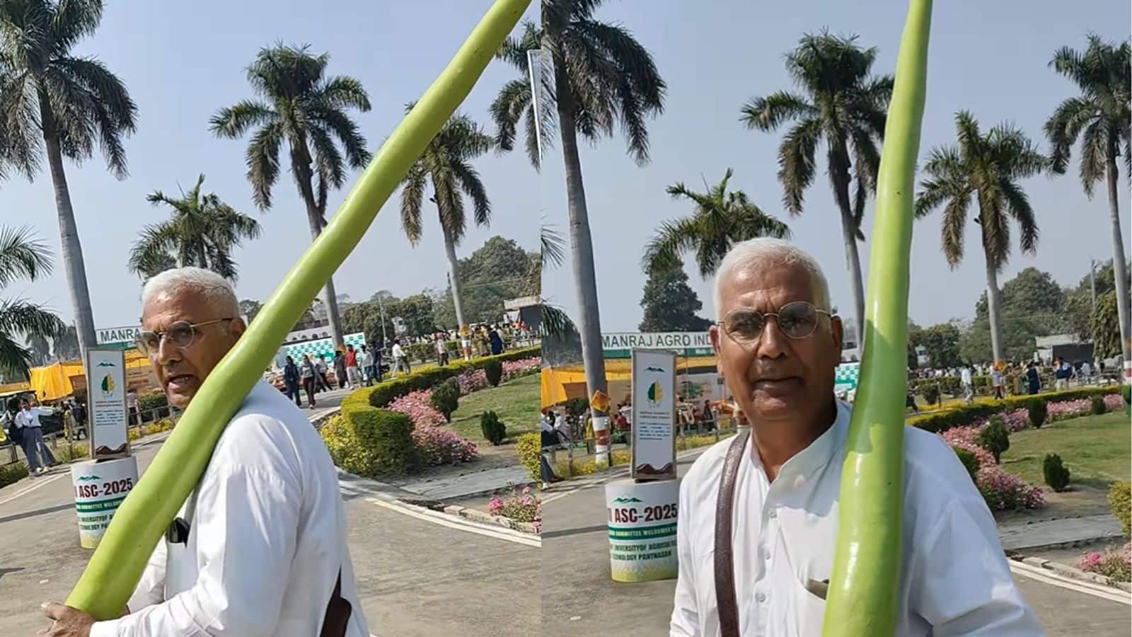 Viral Video: 8 फीट की लौकी का वायरल वीडियो! ताऊ की बात सुनकर हंसी नहीं रुकेगी