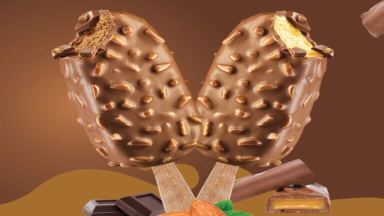 Dodla Dairy Share Price Falls: कमजोर नतीजे पर 6% टूटे शेयर, चेक करें टारगेट प्राइस