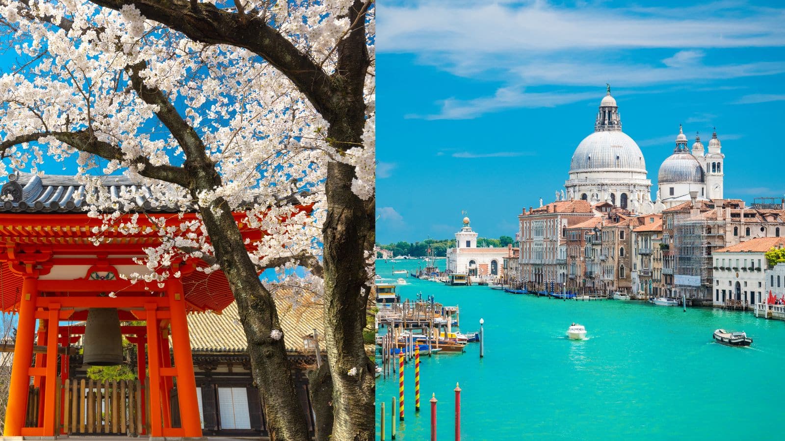 देश से बाहर घूमने का बना रहे हैं प्लान तो ये जगहें हैं आपके लिए बेस्ट, देखें पूरी लिस्ट