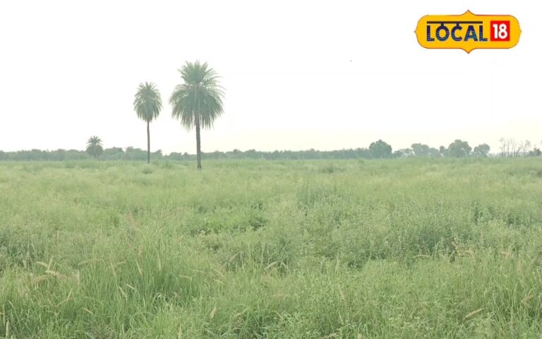 दिल्ली से सटे गाजियाबाद में बनेगा वर्ल्ड क्लास इंटरनेशनल क्रिकेट स्टेडियम