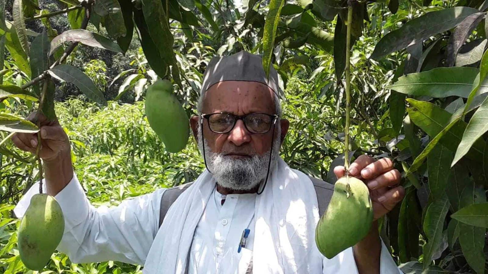 Kalimullah Khan: यूपी के इस शख्स ने एक ही पेड़ पर उगा दिए 350 किस्म के आम, गजब की है कहानी