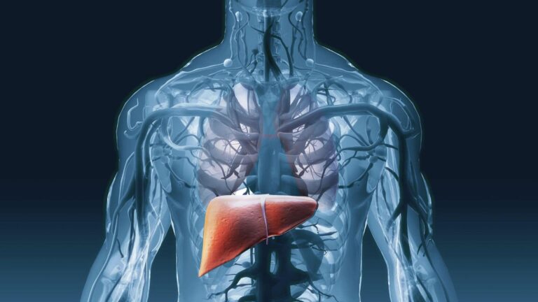 Liver: लिवर डैमेज के ये संकेत छुपे हैं आपके शरीर में, जानिए पहले ही वरना बढ़ सकती है मुसीबत
