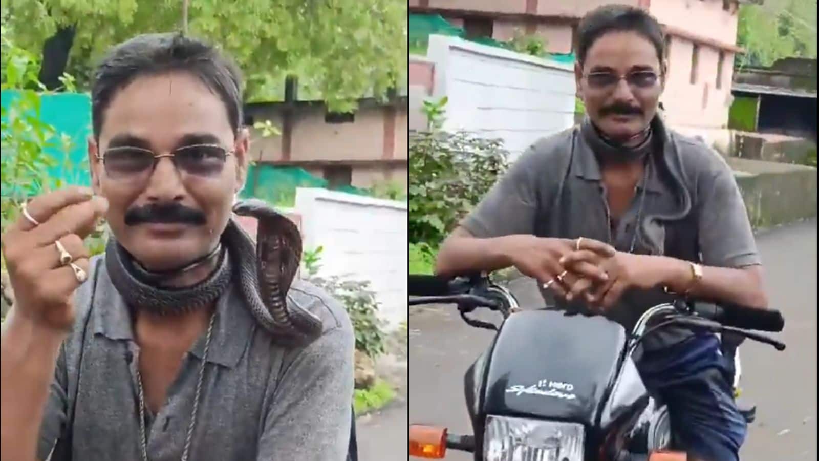 Viral Video: गले में कोबरा लपेटकर बाइक पर घूम रहा था शख्स, सांप के काटने से हुई दर्दनाक मौत