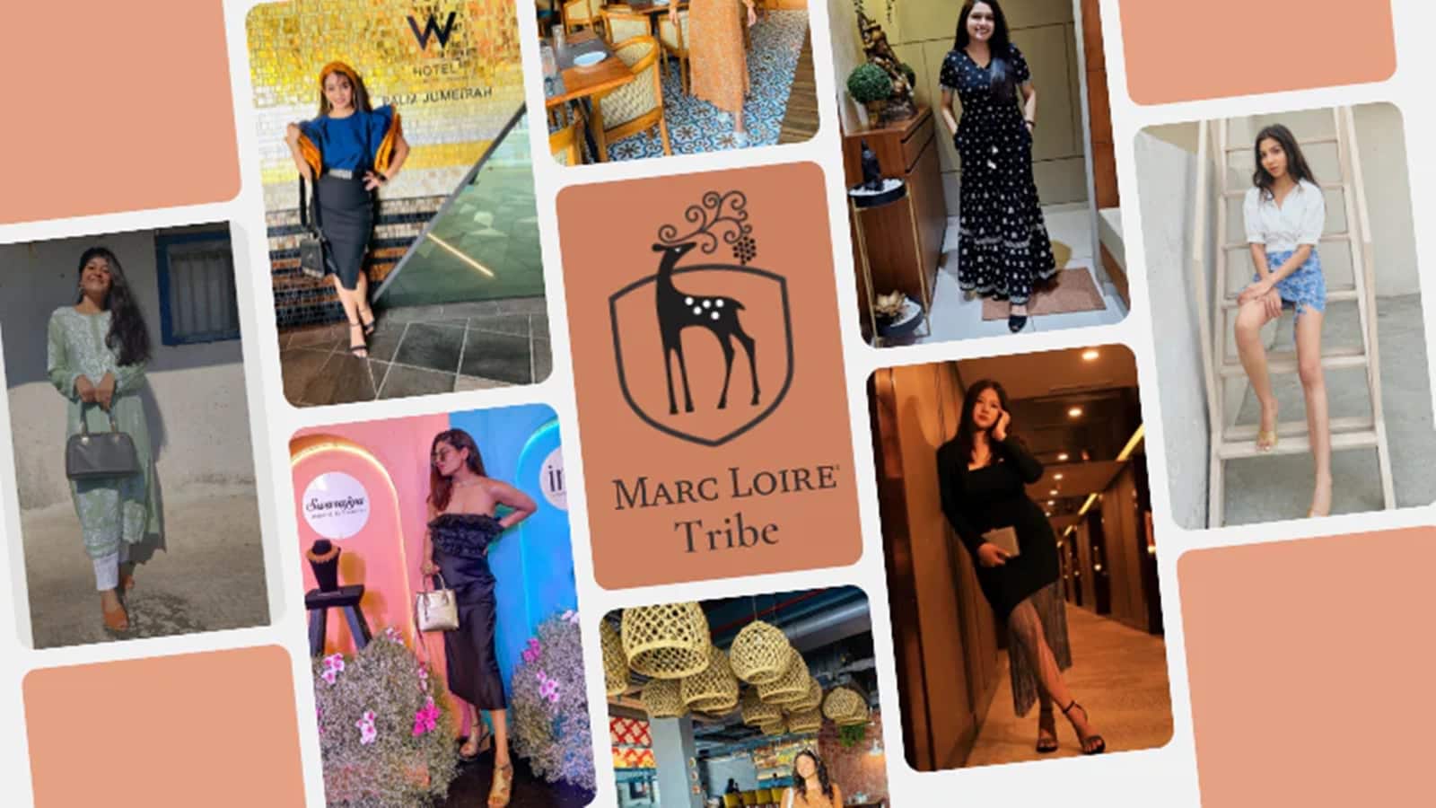 Marc Loire IPO Listing: ₹100 का शेयर ₹80 पर लिस्ट, फिर लोअर सर्किट, पहले दिन मुनाफे की गुंजाइश खत्म