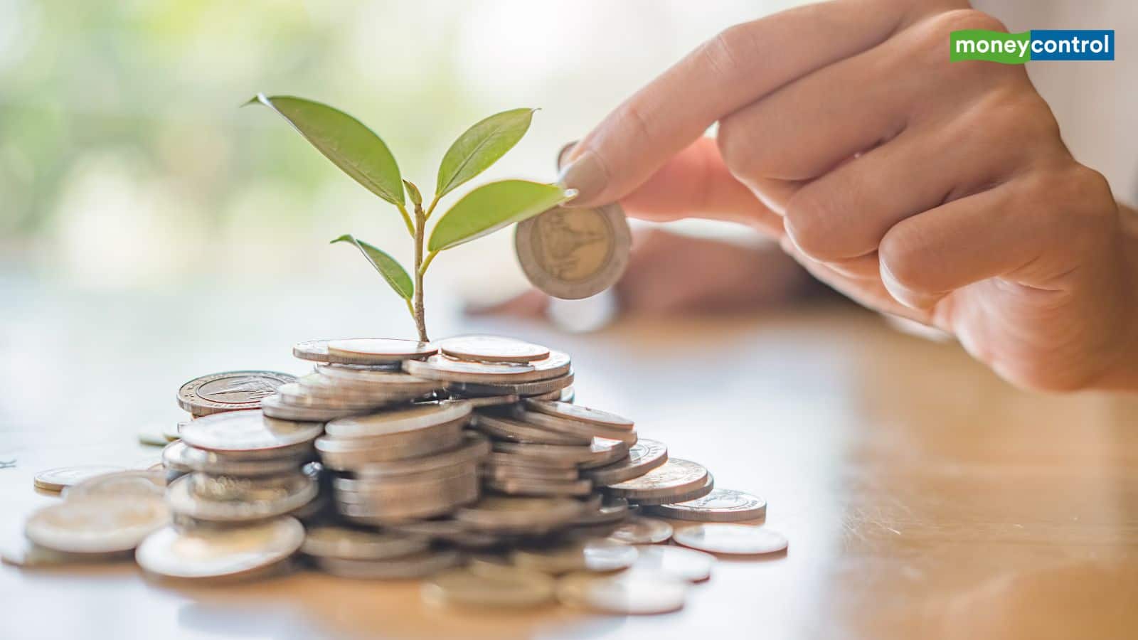 स्टॉक मार्केट ऊंचाई पर हो तो क्या बंद कर देनी चाहिए SIP? एक्सपर्ट से जानिए जवाब